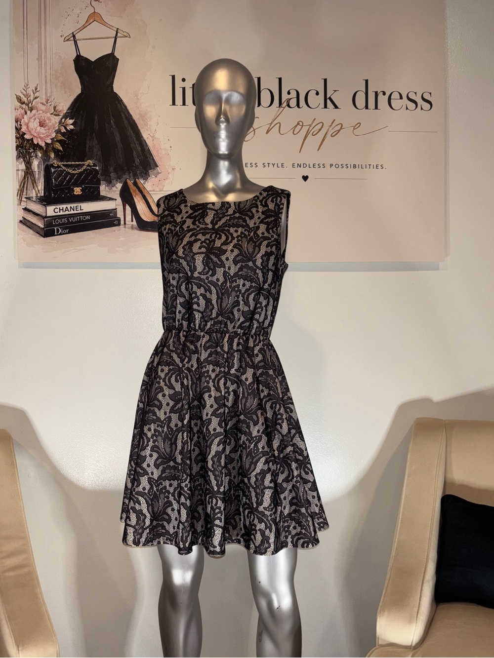 Sleeveless Black Lace Overlay A-Line Dress